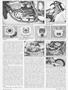 Page: - 31 | Cycle World