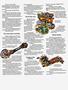 Page: - 47 | Cycle World