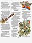 Page: - 49 | Cycle World