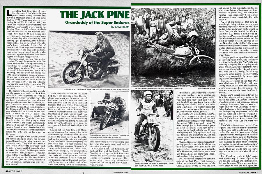 The Jack Pine