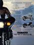 Page: - 113 | Cycle World