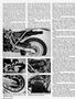 Page: - 30 | Cycle World