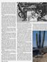 Page: - 146 | Cycle World