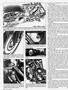 Page: - 32 | Cycle World