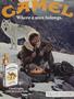 Page: - 22 | Cycle World