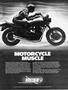 Page: - 3 | Cycle World