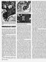 Page: - 46 | Cycle World