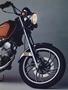 Page: - 123 | Cycle World