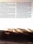 Page: - 81 | Cycle World