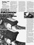 Page: - 56 | Cycle World
