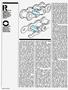 Page: - 62 | Cycle World