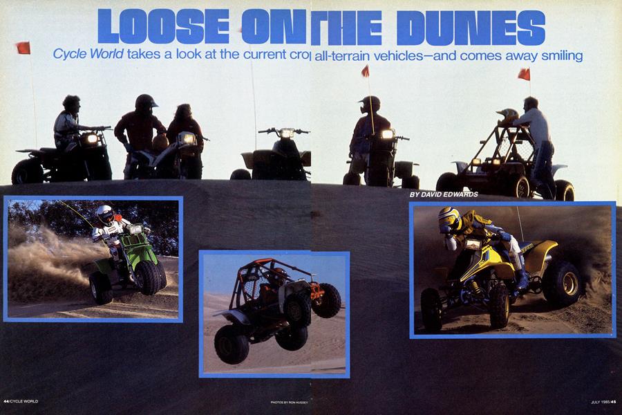 Loose On the Dunes