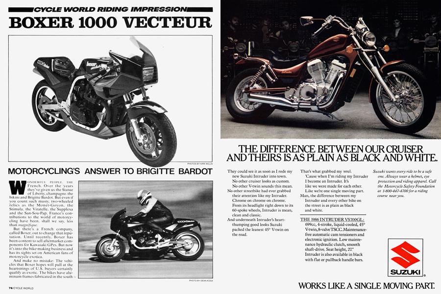 Boxer 1000 Vecteur