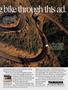 Page: - 13 | Cycle World