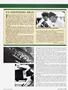 Page: - 45 | Cycle World