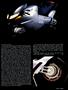 Page: - 29 | Cycle World
