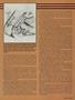 Page: - 39 | Cycle World