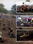 Page: - 61 | Cycle World