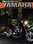 Page: - 28 | Cycle World