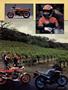 Page: - 43 | Cycle World