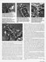 Page: - 41 | Cycle World