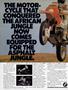 Page: - 6 | Cycle World