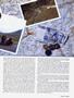Page: - 39 | Cycle World