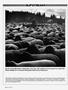 Page: - 82 | Cycle World