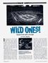 Page: - 76 | Cycle World