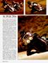 Page: - 62 | Cycle World