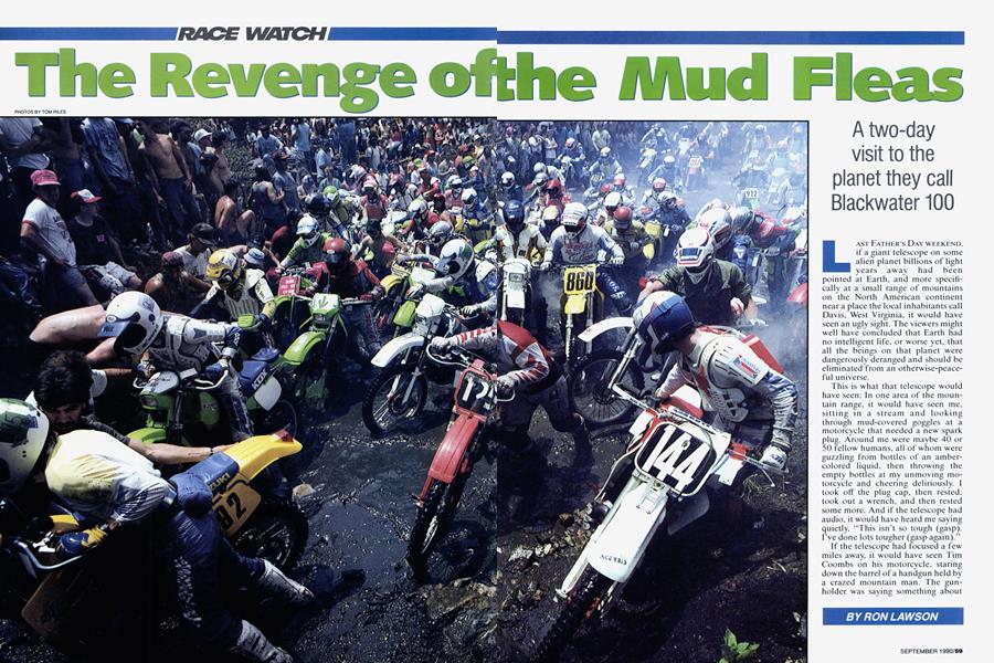 The Revenge of the Mud Fleas