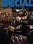 Page: - 38 | Cycle World