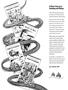 Page: - 51D | Cycle World