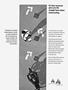 Page: - 18 | Cycle World