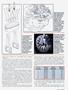 Page: - 33 | Cycle World