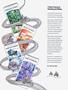 Page: - 105 | Cycle World