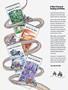 Page: - 138 | Cycle World