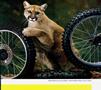 Page: - 76 | Cycle World