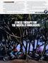 Page: - 6 | Cycle World