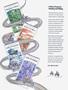 Page: - 95 | Cycle World