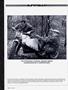 Page: - 106 | Cycle World