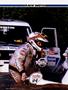 Page: - 68 | Cycle World