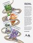 Page: - 98 | Cycle World