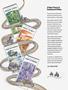 Page: - 95 | Cycle World