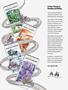 Page: - 99 | Cycle World