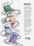 Page: - 81 | Cycle World