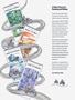 Page: - 79 | Cycle World