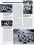 Page: - 80 | Cycle World