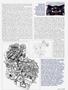 Page: - 33 | Cycle World