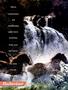 Page: - 17 | Cycle World
